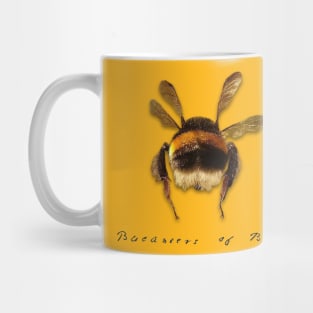 Bucaneers of Buzz Mug